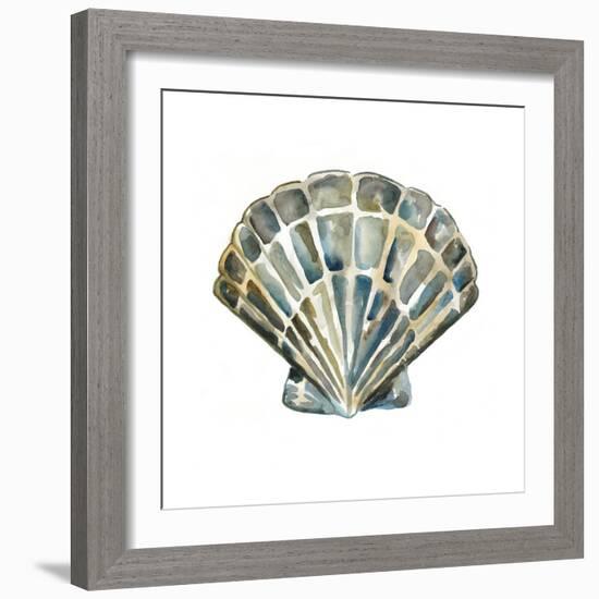 Aquarelle Shells IV-Chariklia Zarris-Framed Art Print