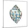 Aquarelle Shells V-Chariklia Zarris-Mounted Premium Giclee Print