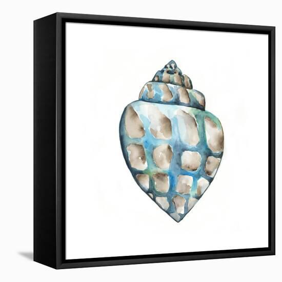 Aquarelle Shells V-Chariklia Zarris-Framed Stretched Canvas