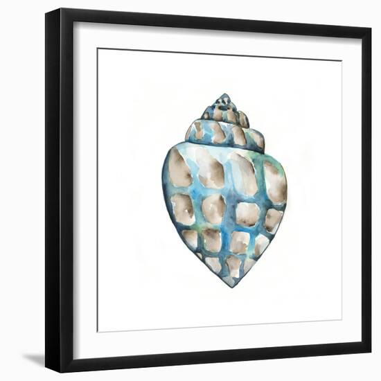 Aquarelle Shells V-Chariklia Zarris-Framed Art Print