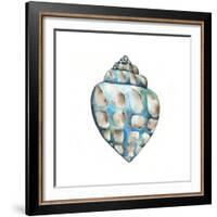 Aquarelle Shells V-Chariklia Zarris-Framed Art Print