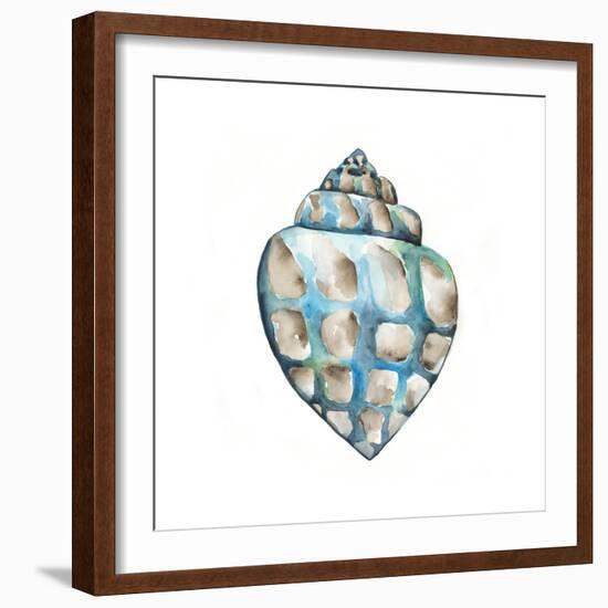 Aquarelle Shells V-Chariklia Zarris-Framed Art Print