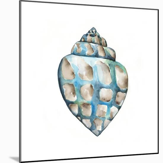 Aquarelle Shells V-Chariklia Zarris-Mounted Art Print