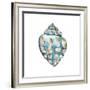 Aquarelle Shells V-Chariklia Zarris-Framed Art Print