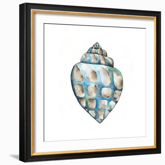 Aquarelle Shells V-Chariklia Zarris-Framed Art Print