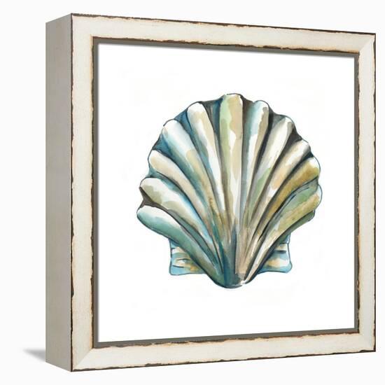 Aquarelle Shells VI-Chariklia Zarris-Framed Stretched Canvas