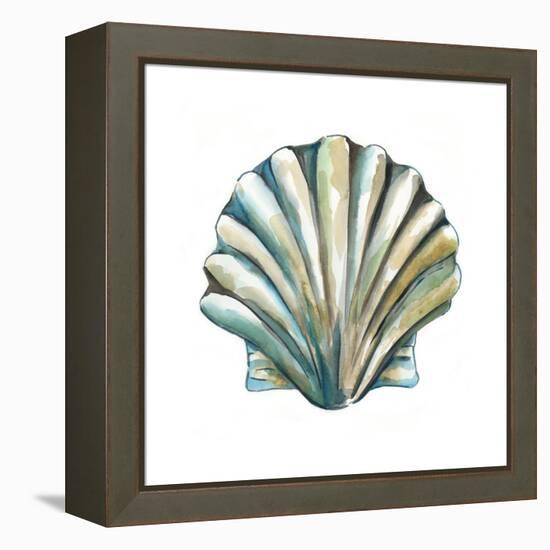 Aquarelle Shells VI-Chariklia Zarris-Framed Stretched Canvas