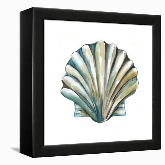 Aquarelle Shells VI-Chariklia Zarris-Framed Stretched Canvas