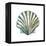 Aquarelle Shells VI-Chariklia Zarris-Framed Stretched Canvas