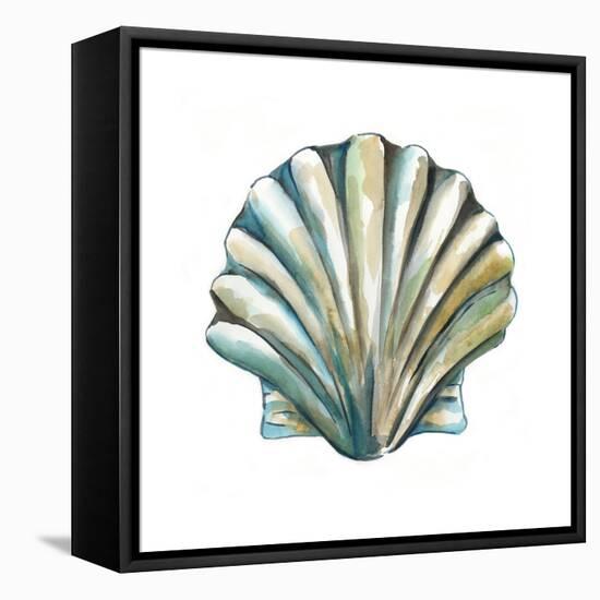 Aquarelle Shells VI-Chariklia Zarris-Framed Stretched Canvas