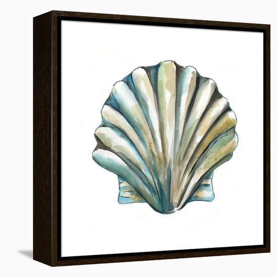 Aquarelle Shells VI-Chariklia Zarris-Framed Stretched Canvas