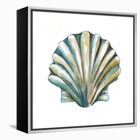 Aquarelle Shells VI-Chariklia Zarris-Framed Stretched Canvas