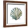 Aquarelle Shells VI-Chariklia Zarris-Framed Art Print