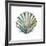 Aquarelle Shells VI-Chariklia Zarris-Framed Giclee Print