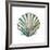 Aquarelle Shells VI-Chariklia Zarris-Framed Giclee Print