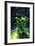 Aquarium, Loro Parque, Tenerife, Canary Islands, 2007-Peter Thompson-Framed Photographic Print