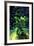 Aquarium, Loro Parque, Tenerife, Canary Islands, 2007-Peter Thompson-Framed Photographic Print