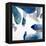 Aquarium Pebbles-Clayton Rabo-Framed Premier Image Canvas