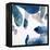 Aquarium Pebbles-Clayton Rabo-Framed Premier Image Canvas