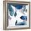 Aquarium Pebbles-Clayton Rabo-Framed Giclee Print