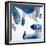 Aquarium Pebbles-Clayton Rabo-Framed Giclee Print