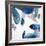 Aquarium Pebbles-Clayton Rabo-Framed Giclee Print