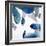 Aquarium Pebbles-Clayton Rabo-Framed Giclee Print