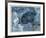 Aquarium-Yehuda Jordan-Framed Limited Edition