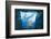 Aquarium-Philippe Sainte-Laudy-Framed Photographic Print