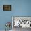 Aquarium-Paul Klee-Framed Premier Image Canvas displayed on a wall
