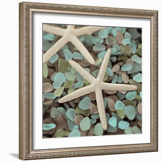 Aquatic 1-Alan Blaustein-Framed Photographic Print