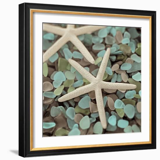 Aquatic 1-Alan Blaustein-Framed Photographic Print