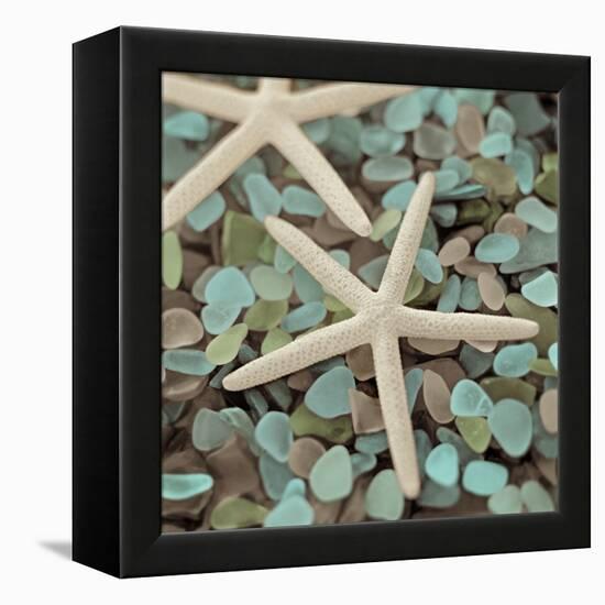 Aquatic 1-Alan Blaustein-Framed Stretched Canvas