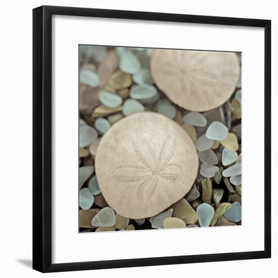 Aquatic 2-Alan Blaustein-Framed Photographic Print