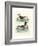 Aquatic Birds II-George Edwards-Framed Art Print