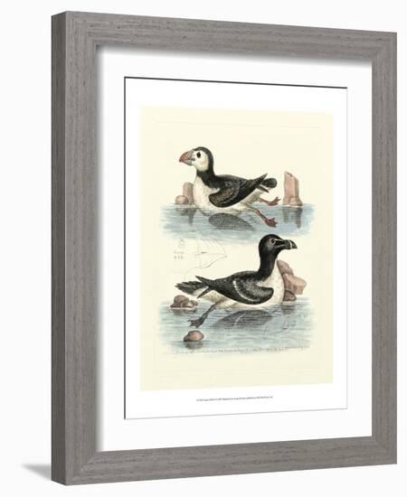 Aquatic Birds II-George Edwards-Framed Art Print