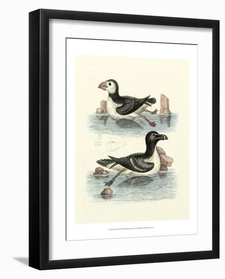 Aquatic Birds II-George Edwards-Framed Art Print