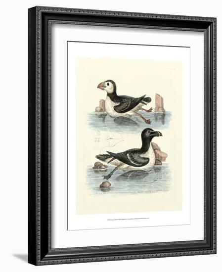 Aquatic Birds II-George Edwards-Framed Art Print