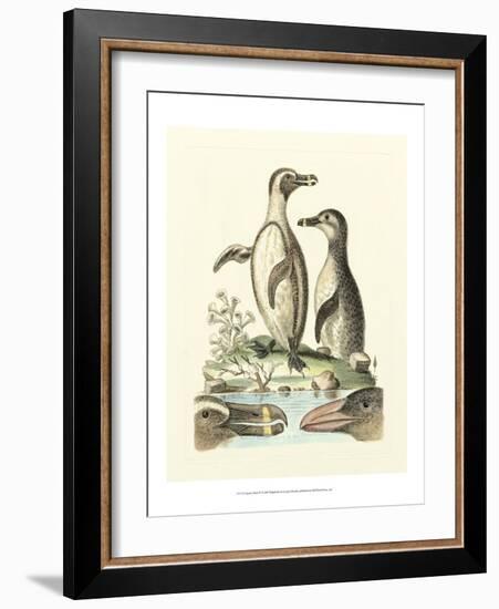 Aquatic Birds IV-George Edwards-Framed Art Print