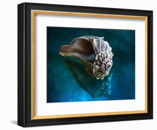 Aquatic Dreams IV-George Oze-Framed Photographic Print