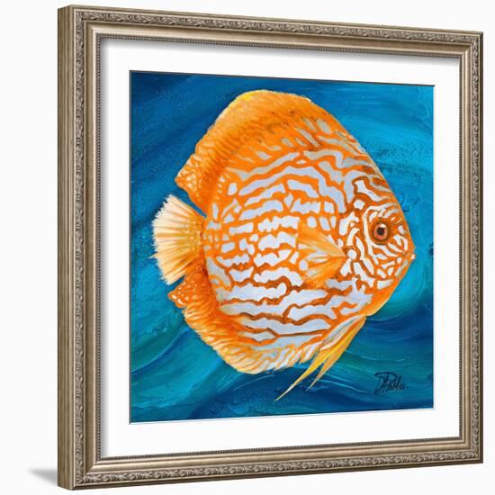 Aquatic Life I (Vibrant Sea Life II)-Patricia Pinto-Framed Art Print