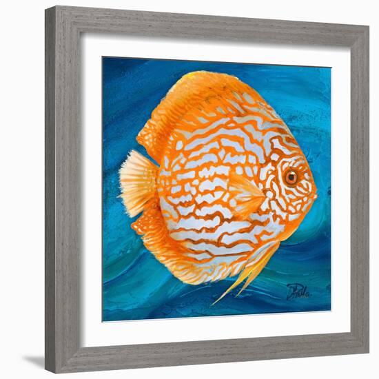 Aquatic Life I (Vibrant Sea Life II)-Patricia Pinto-Framed Art Print