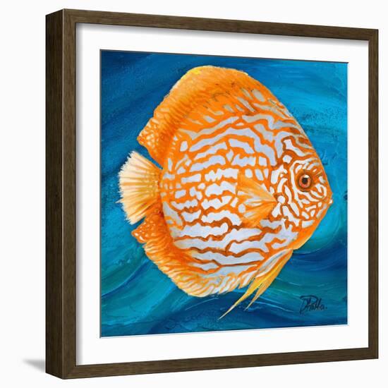 Aquatic Life I (Vibrant Sea Life II)-Patricia Pinto-Framed Art Print