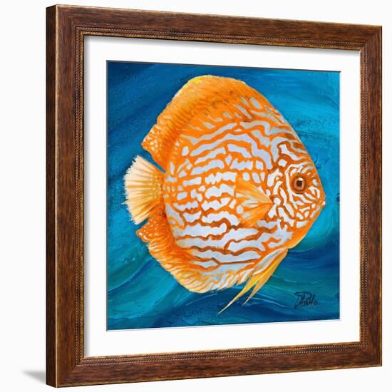 Aquatic Life I (Vibrant Sea Life II)-Patricia Pinto-Framed Art Print