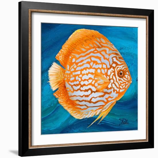 Aquatic Life I (Vibrant Sea Life II)-Patricia Pinto-Framed Art Print