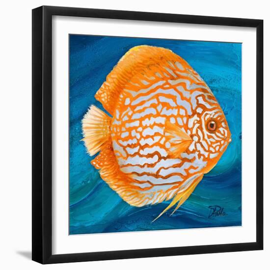 Aquatic Life I (Vibrant Sea Life II)-Patricia Pinto-Framed Art Print