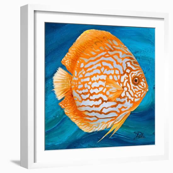 Aquatic Life I (Vibrant Sea Life II)-Patricia Pinto-Framed Art Print