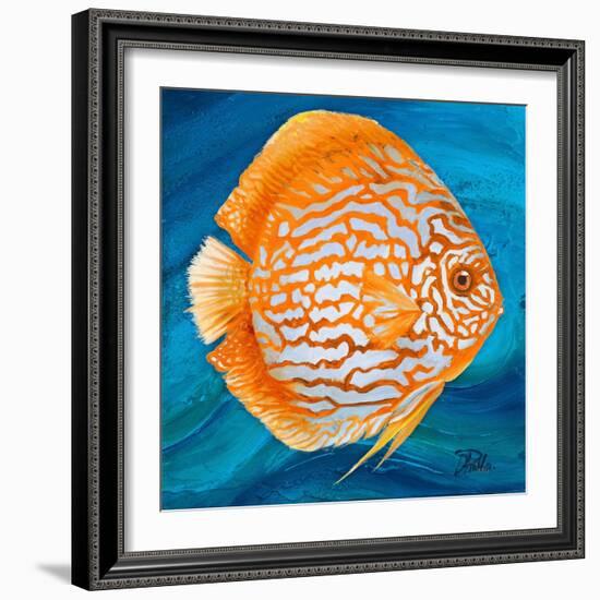 Aquatic Life I (Vibrant Sea Life II)-Patricia Pinto-Framed Art Print