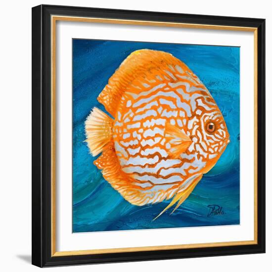 Aquatic Life I (Vibrant Sea Life II)-Patricia Pinto-Framed Art Print