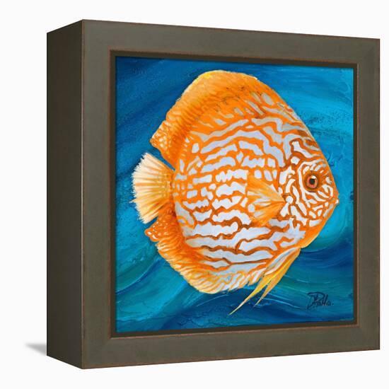 Aquatic Life I (Vibrant Sea Life II)-Patricia Pinto-Framed Stretched Canvas